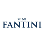 goedkope Vini Fantini wielerkleding.jpg